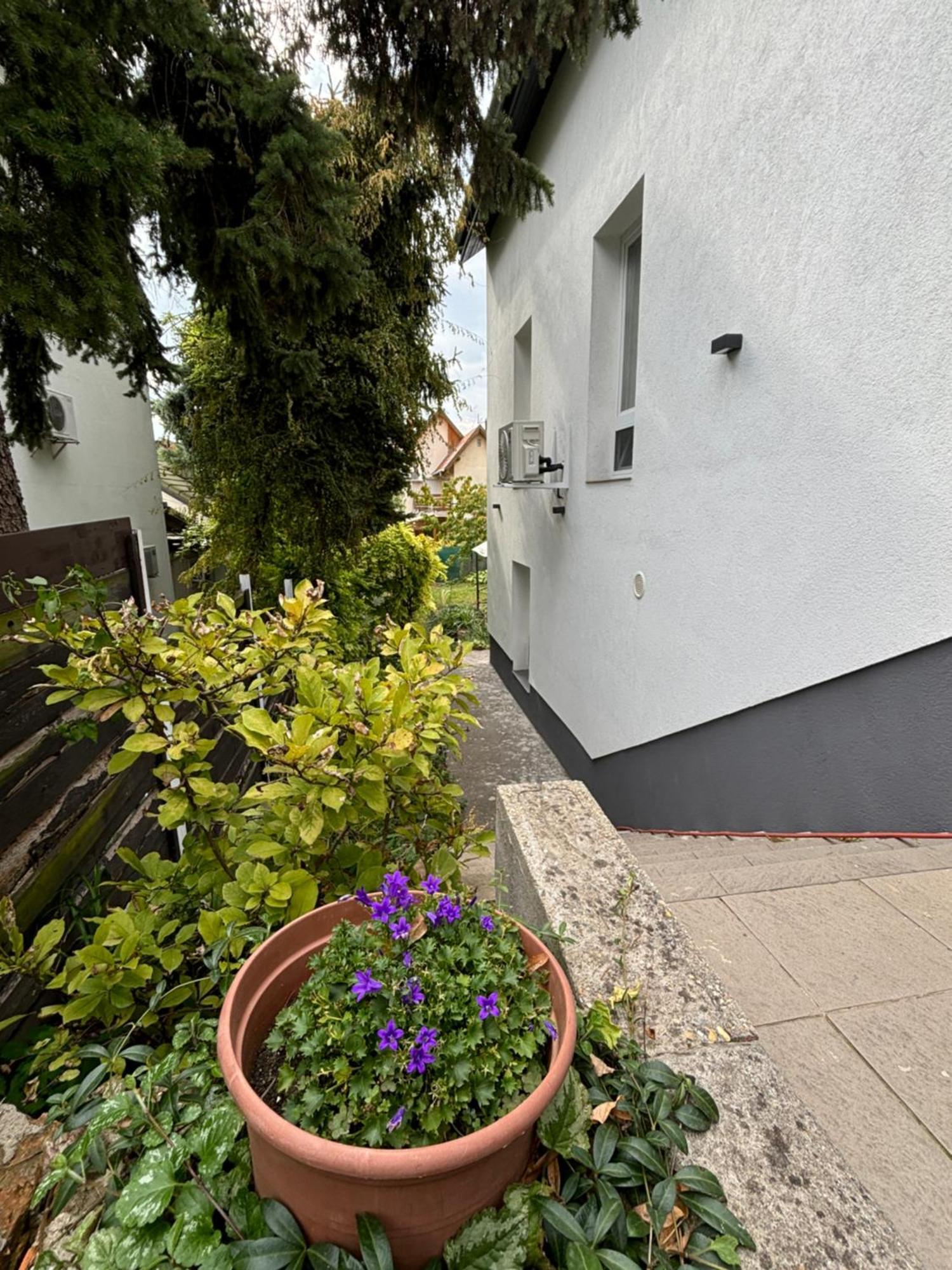Benjamin Apartman Budapest Ngoại thất bức ảnh